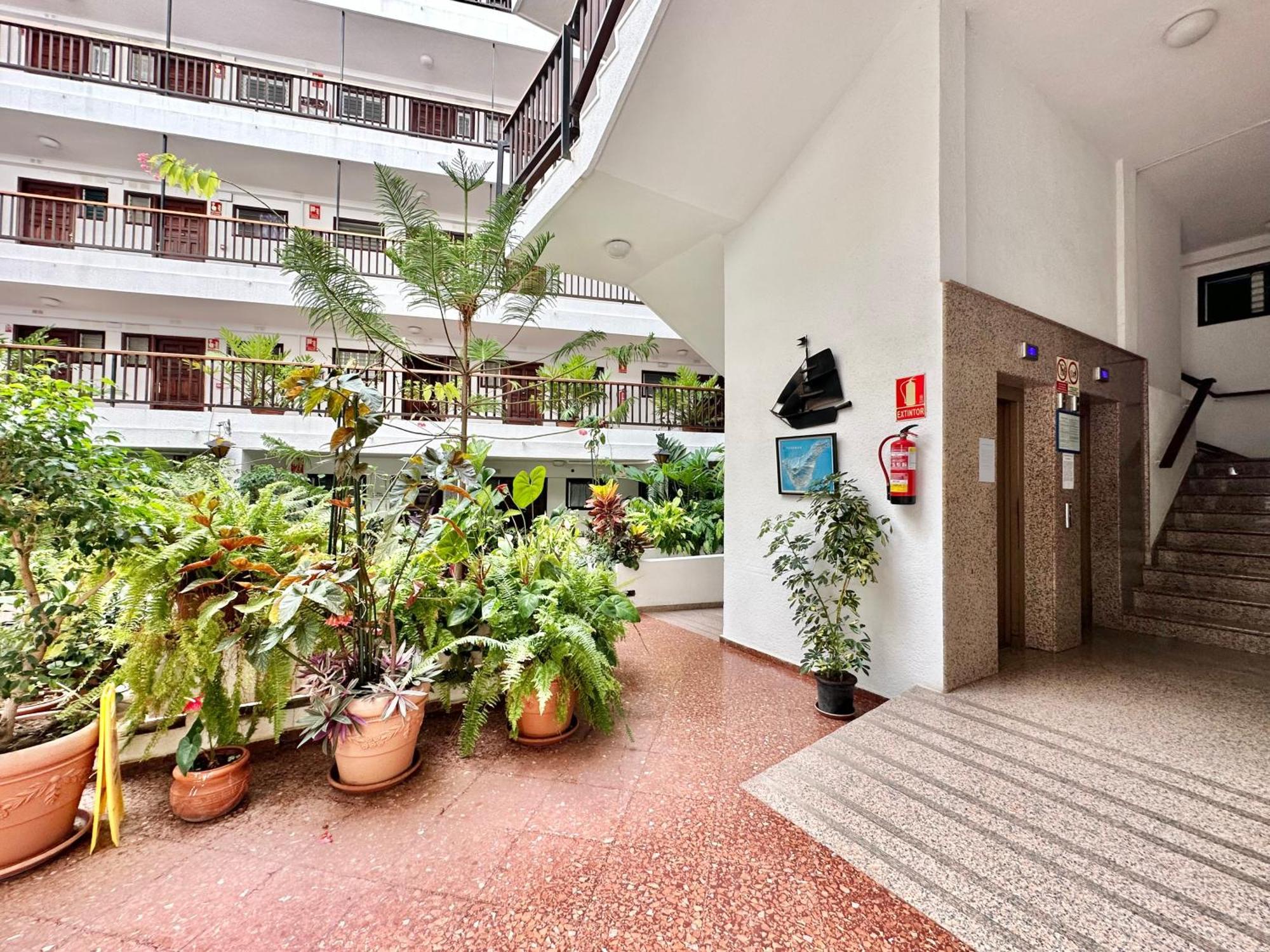 First Line Attic - Adults Only - Puerto de la Cruz (Tenerife) Exterior foto